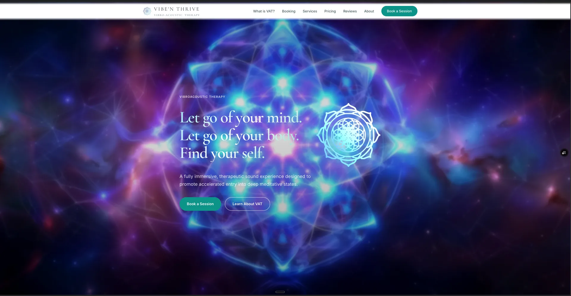 Vibe N Thrive - hero